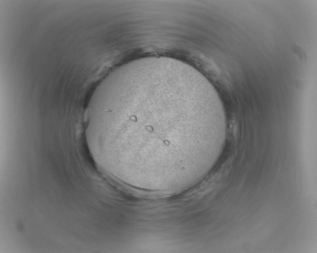 X0000115581012200911241508