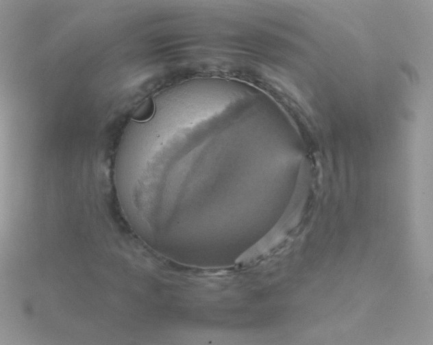 X0000115581013200911241508