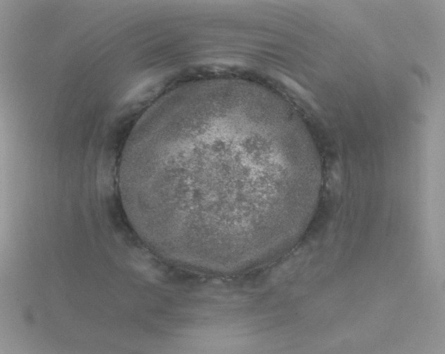 X0000115581014200911241508