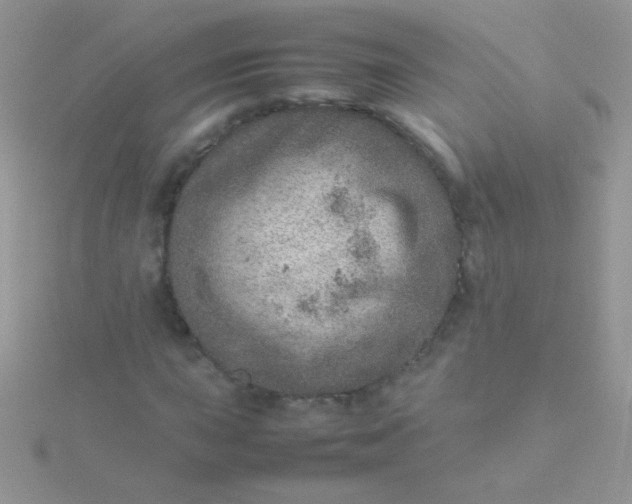 X0000115581015200911241508