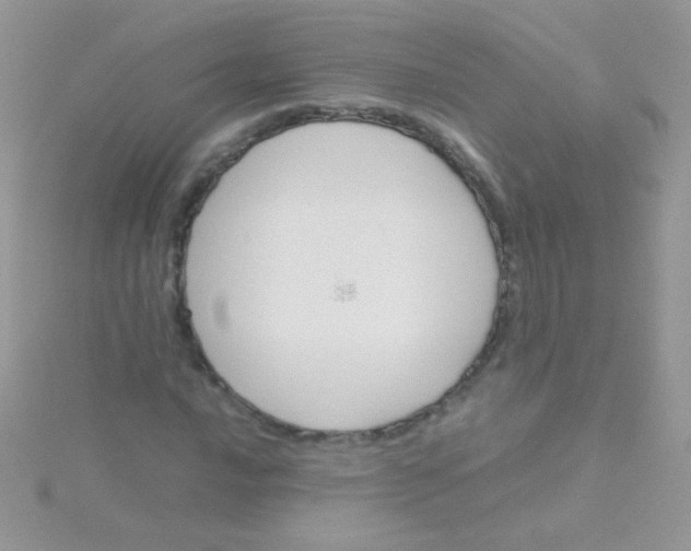 X0000115581016200911241508