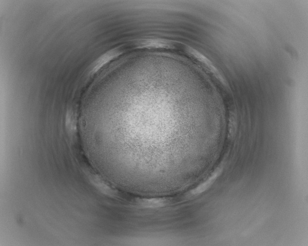 X0000115581017200911241508