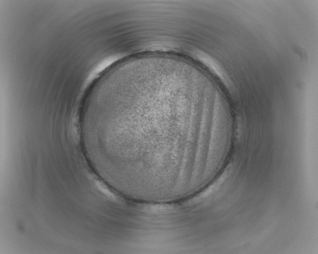 X0000115581018200911241508