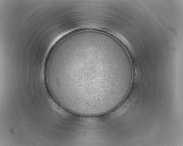 X0000115581020200911241508