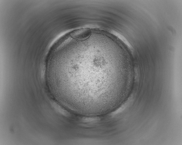 X0000115581021200911241508