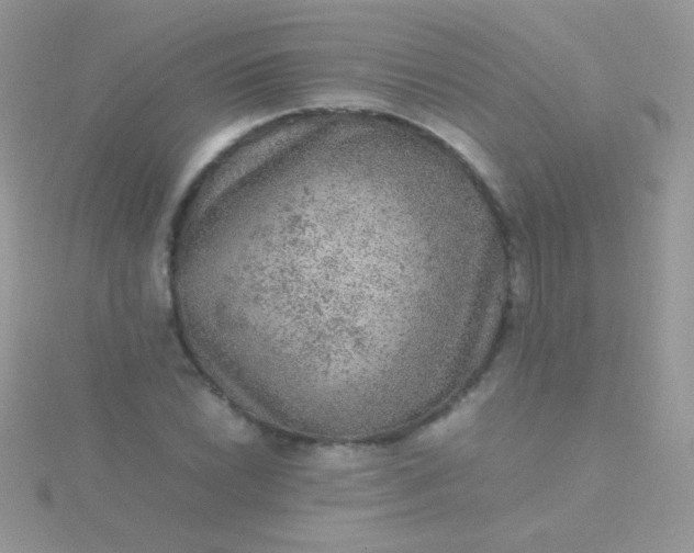 X0000115581022200911241508