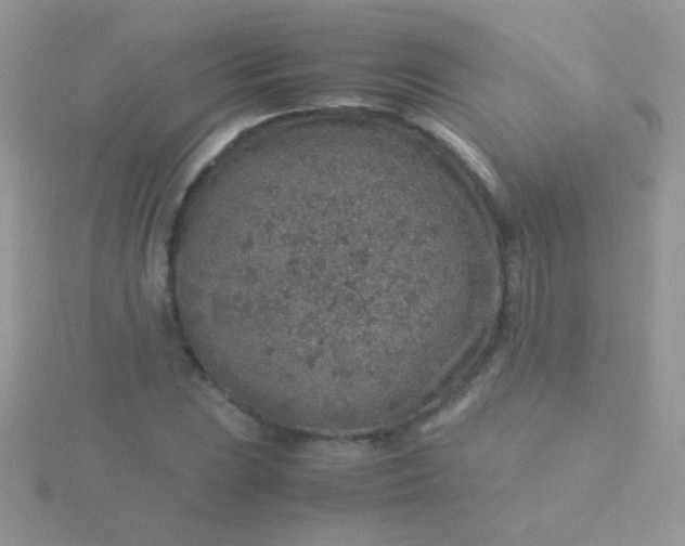 X0000115581023200911241508