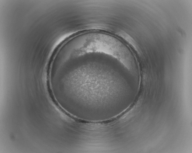 X0000115581024200911241508