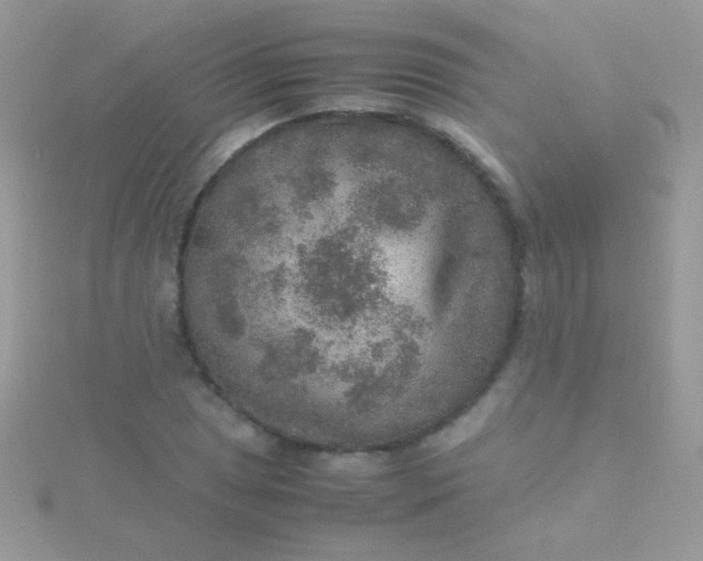 X0000115581025200911241508