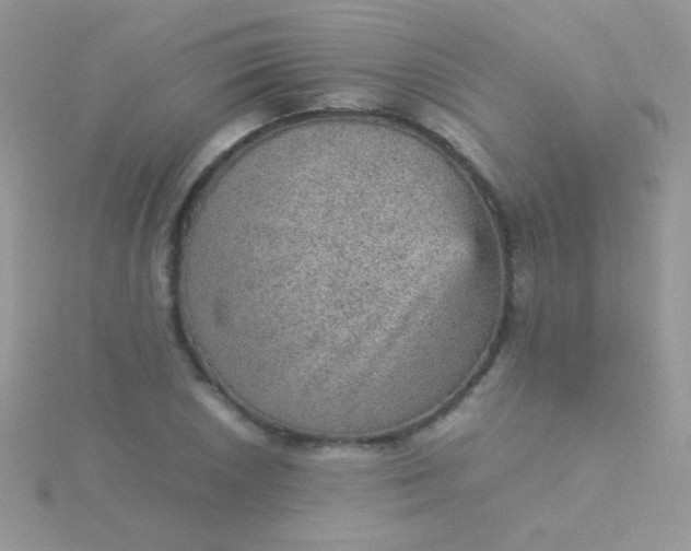 X0000115581026200911241508