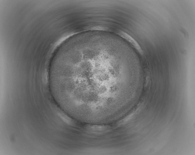 X0000115581027200911241508