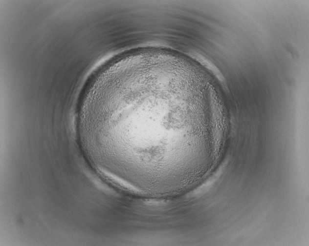 X0000115581029200911241508