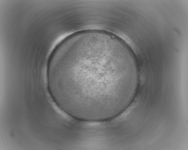 X0000115581030200911241508