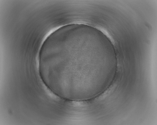 X0000115581032200911241508