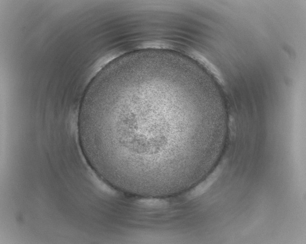 X0000115581033200911241508