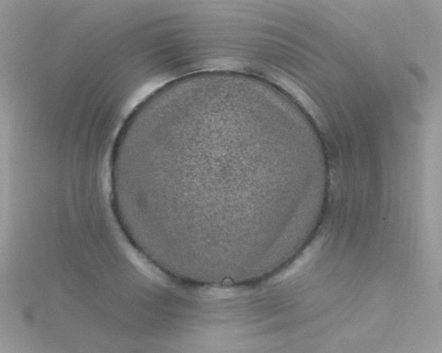 X0000115581034200911241508