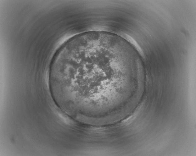 X0000115581035200911241508