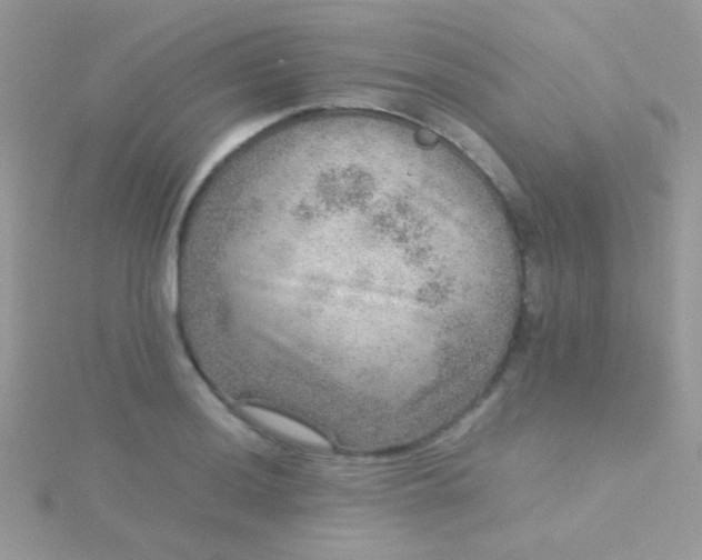 X0000115581036200911241508