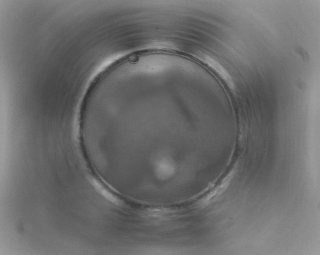 X0000115581037200911241508