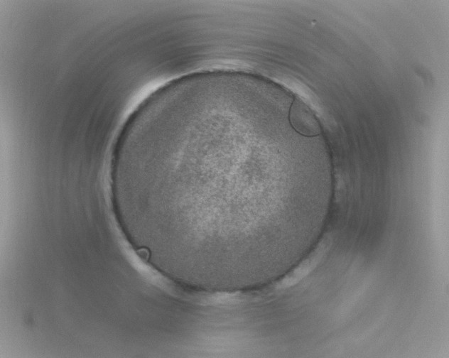 X0000115581038200911241508