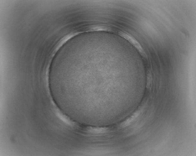 X0000115581039200911241508