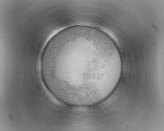 X0000115581040200911241508