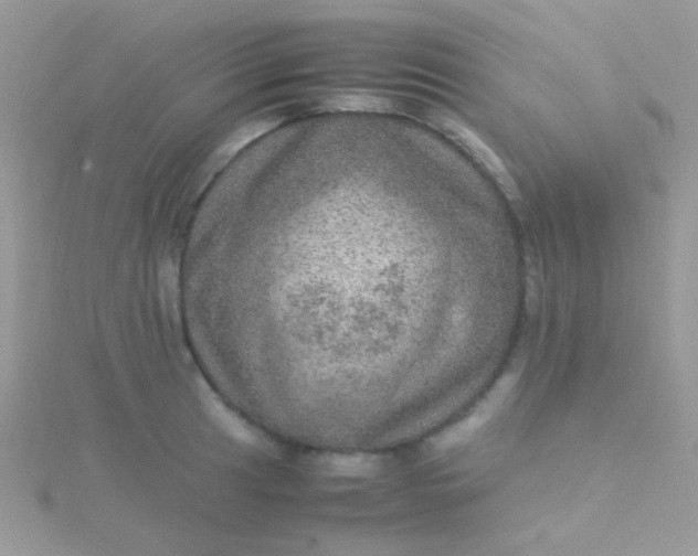 X0000115581041200911241508