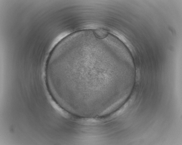 X0000115581042200911241508