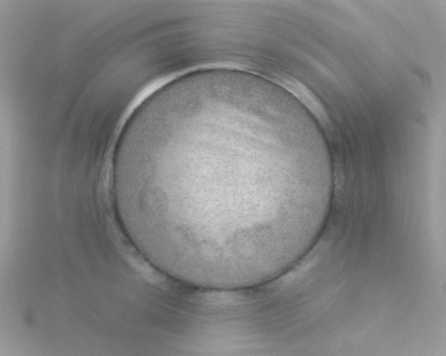 X0000115581044200911241508