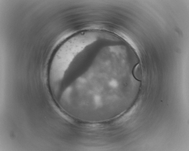 X0000115581045200911241508