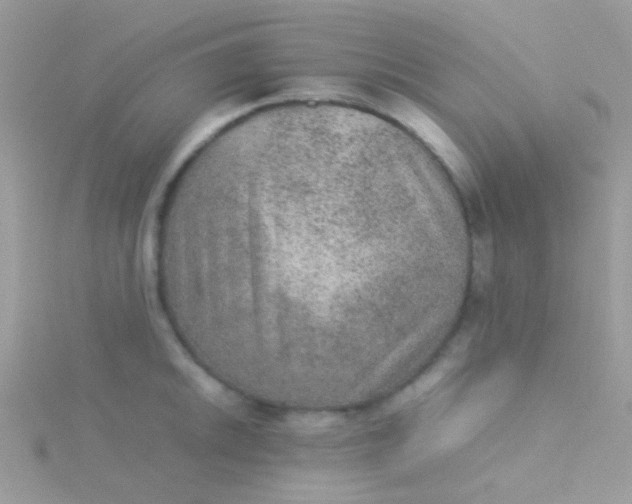 X0000115581046200911241508