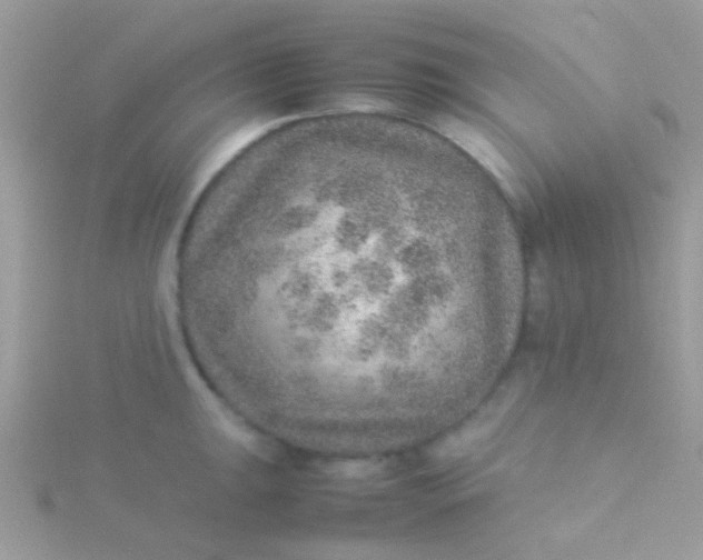 X0000115581047200911241508