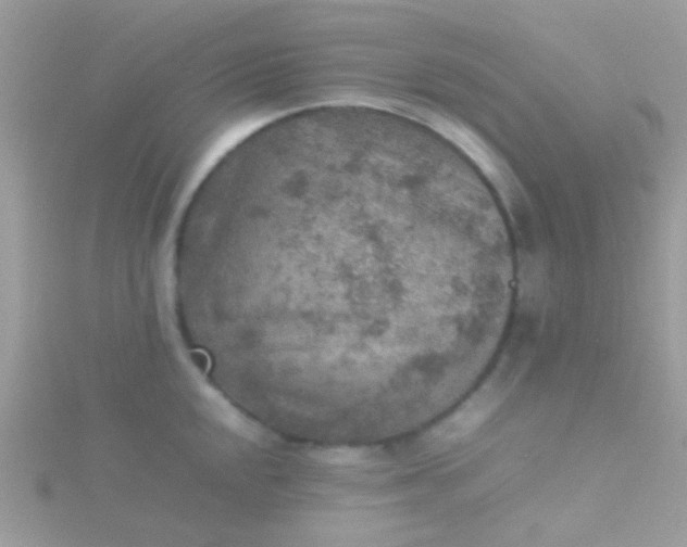 X0000115581048200911241508