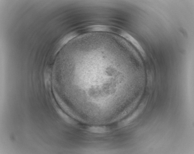 X0000115581049200911241508