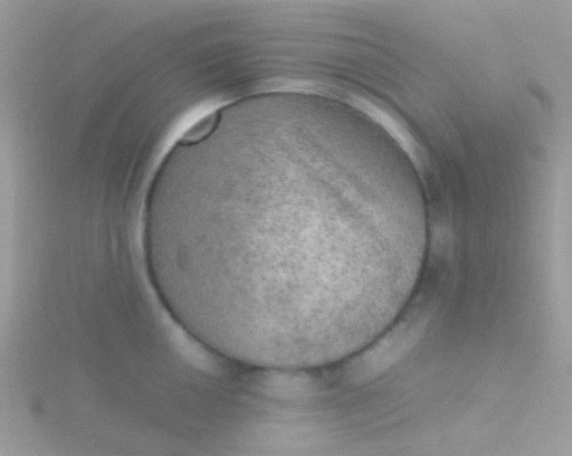 X0000115581050200911241508