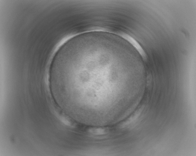 X0000115581051200911241508