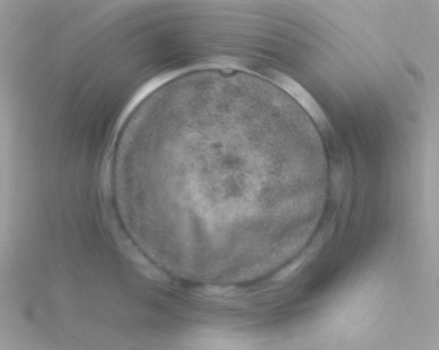 X0000115581052200911241508