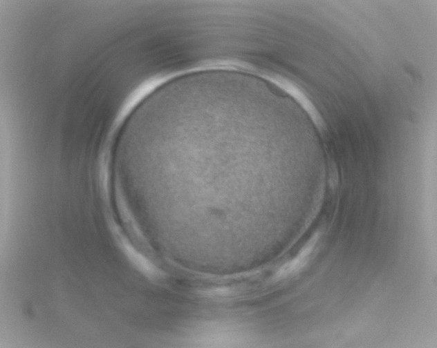 X0000115581054200911241508