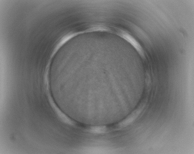 X0000115581055200911241508