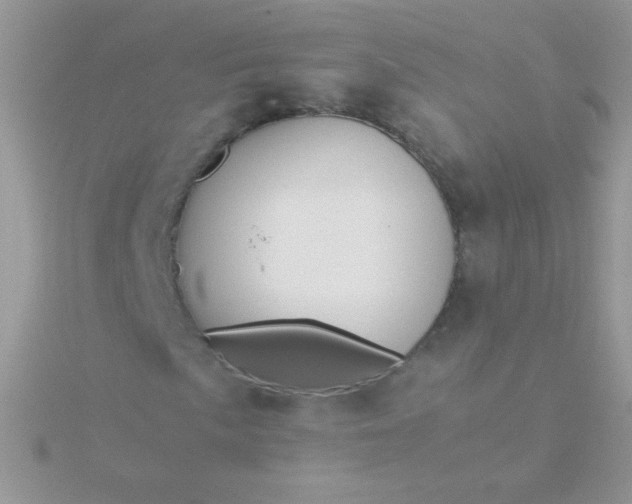 X0000115581057200911241508