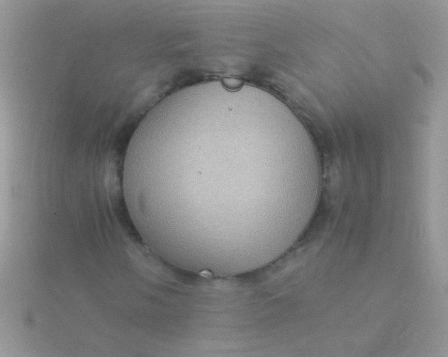 X0000115581058200911241508