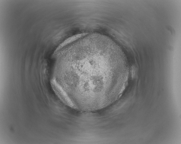 X0000115581059200911241508