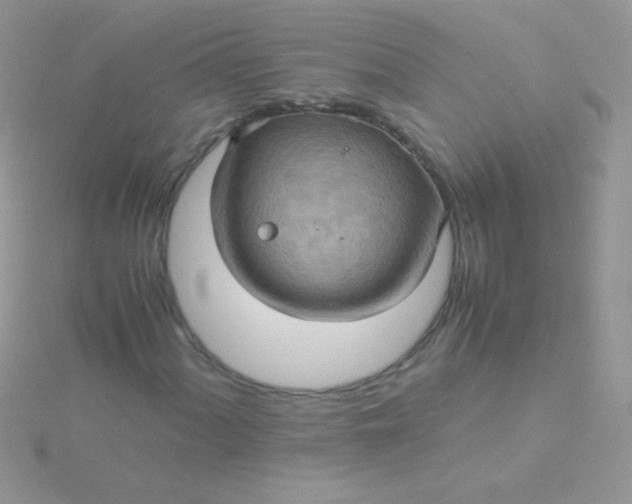 X0000115581060200911241508