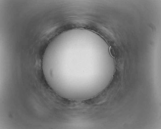 X0000115581061200911241508