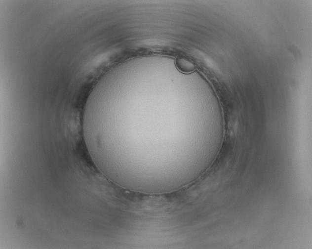 X0000115581062200911241508