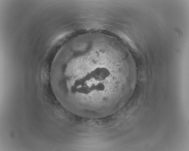 X0000115581063200911241508