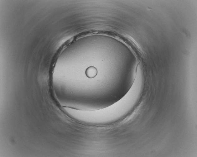 X0000115581065200911241508