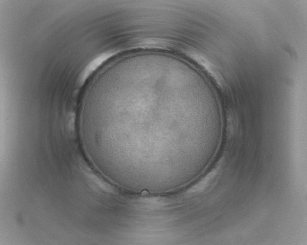 X0000115581066200911241508