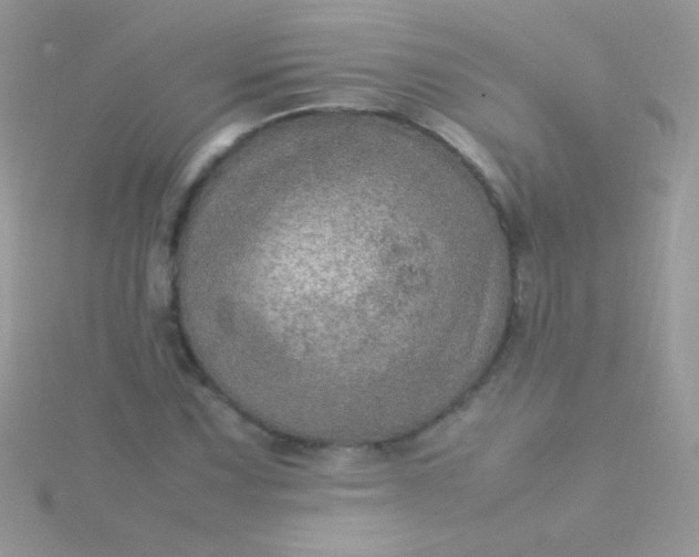 X0000115581067200911241508