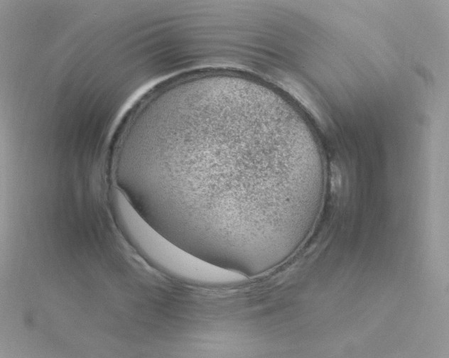 X0000115581068200911241508